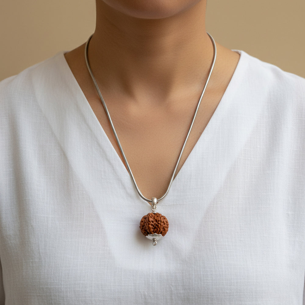 Original 5 Mukhi Rudraksha from Nepal – Health, Wellness & Purity St. Steel Chain