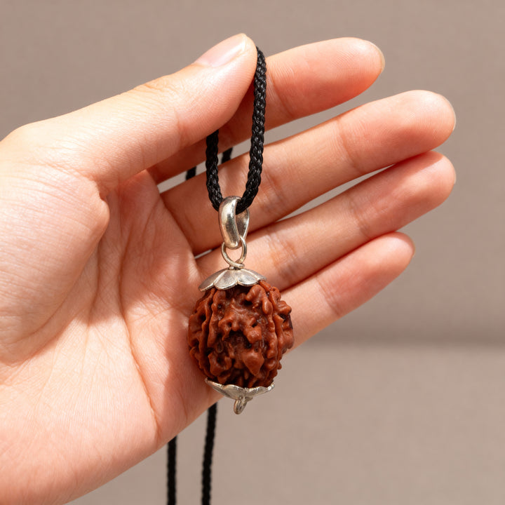 6 Mukhi Rudraksha Bead from Nepal, Six Mukhi Faced Spiritual Rudraksha Bead Medium Copper Cap