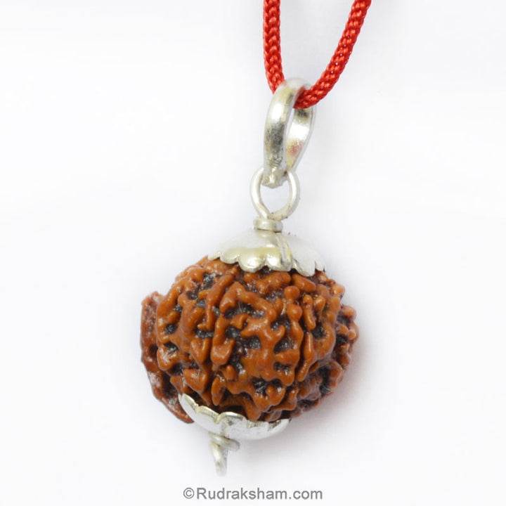Ganesh Rudraksha Bead Pendant from Nepal for the Blessings of Lord Sri Ganesha with Silver caps and Wire