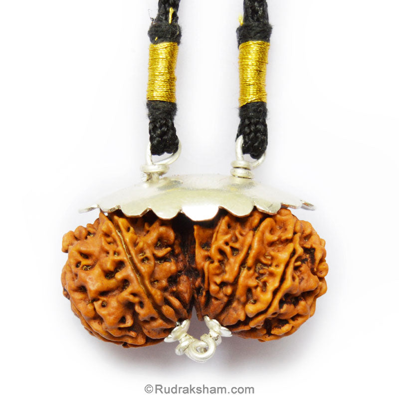 Collector Gauri Shankar Rudraksha Bead Pendant for Meditation from Nepal, Shiv Parvati Rudraksha Bead Pendant in Silver Caps