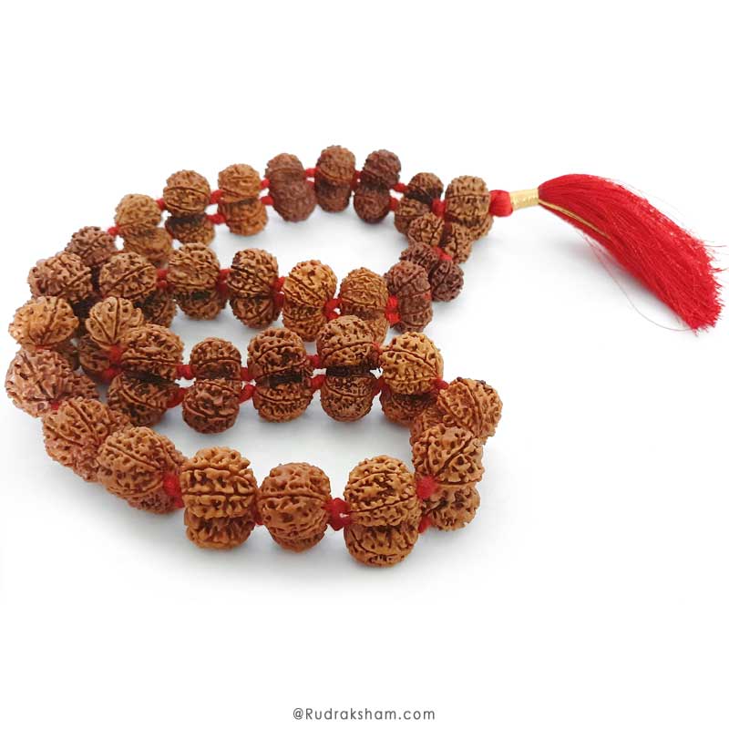  Gauri Shankar Rudraksha Kantha Mala Necklace | Original Energised Shiv Parvati Beads from Nepal