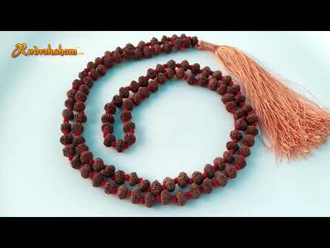10 Mukhi Rudraksha Indonesian Beads Japa Mala | 108 Beads Java Ten Mukhi Rudraksha Beads Kantha Mala | Dus Mukhi Mala Rosary