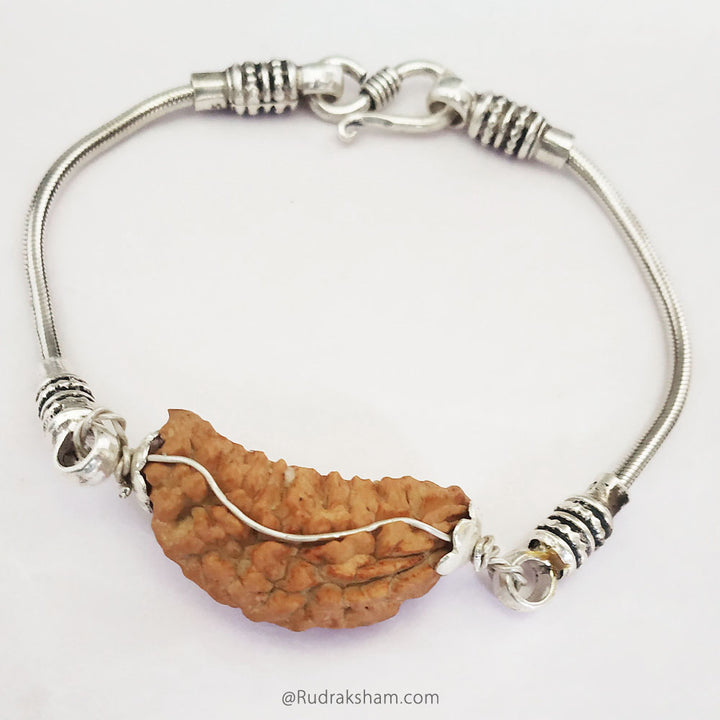  Ek Mukhi Rudraksha Bead Snake Chain Silver Bracelet | Half Moon Shaped Indian One Mukhi Rudraksha Bead Silver Chain Bracelet