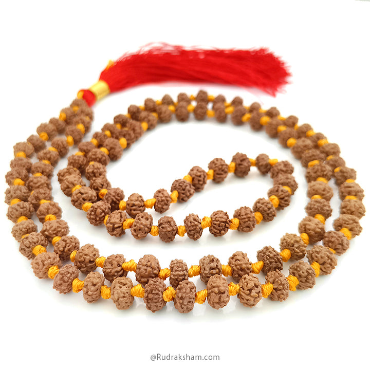 6 Mukhi Rudraksha Indonesian Beads Japa Mala | 108 Beads Java Six Mukhi Rudraksha Beads Mala Rosary | 6 Mukhi Beads for Venus