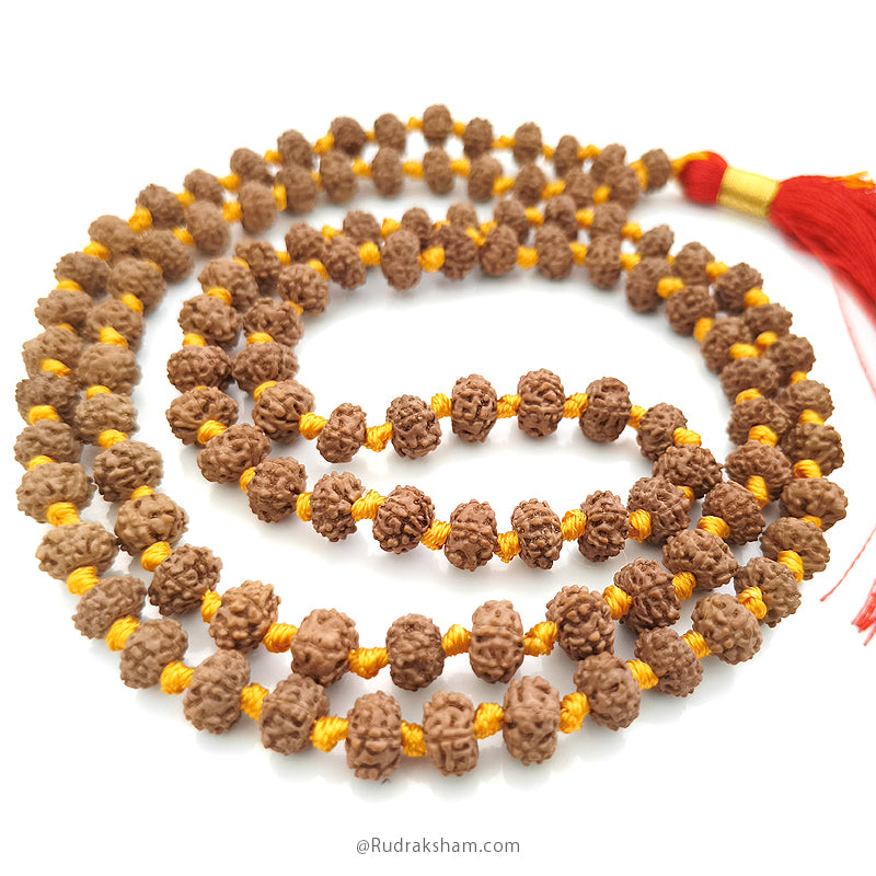 6 Mukhi Rudraksha Indonesian Beads Japa Mala | 108 Beads Java Six Mukhi Rudraksha Beads Mala Rosary | 6 Mukhi Beads for Venus 