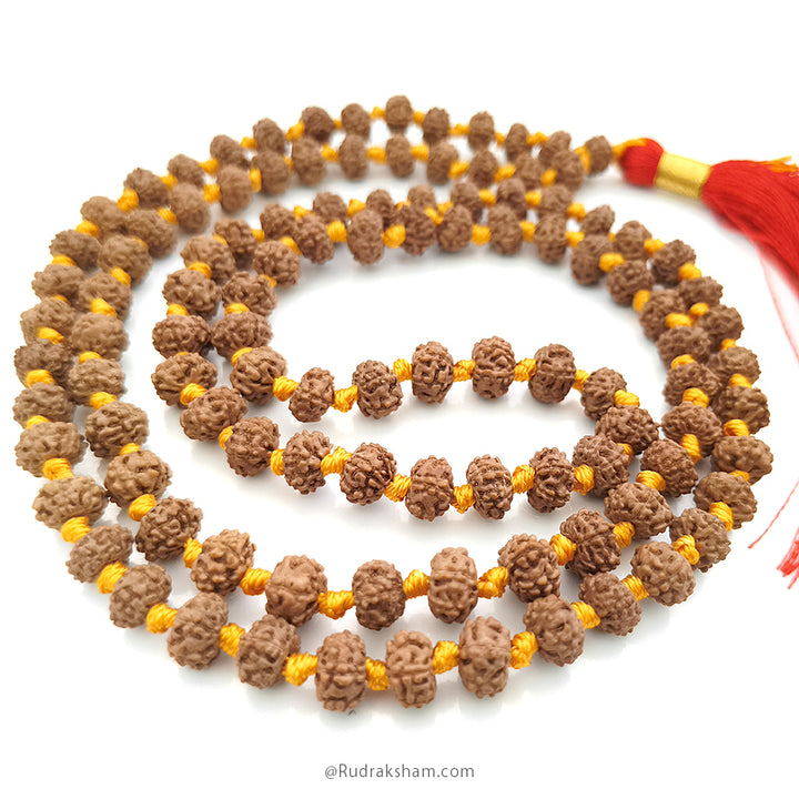 6 Mukhi Rudraksha Indonesian Beads Japa Mala | 108 Beads Java Six Mukhi Rudraksha Beads Mala Rosary | 6 Mukhi Beads for Venus 
