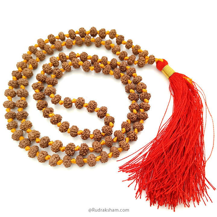 6 Mukhi Rudraksha Indonesian Beads Japa Mala | 108 Beads Java Six Mukhi Rudraksha Beads Mala Rosary | 6 Mukhi Beads for Venus 