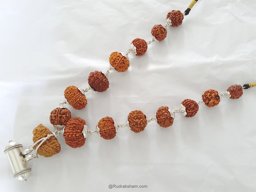 INDRA ki MALA Fine Rudraksha Beads | Buy Original Siddh Indra mala | 1 to 14 Mukhi Rudraksha Beads Mala with Ganesh