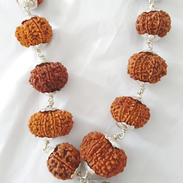INDRA ki MALA Fine Rudraksha Beads | Buy Original Siddh Indra mala | 1 to 14 Mukhi Rudraksha Beads Mala with Ganesh