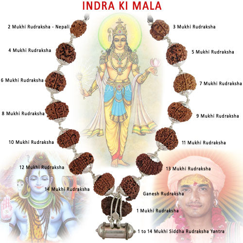INDRA ki MALA Collector Rudraksha Beads | Collector Beads Indra Mala Kantha with Rudraksha Yantra Kavach | Specially Energised by Our GURU