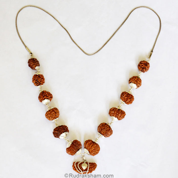 1-13 Mukhi Collector Rudraksha Beads Kantha Mala | Energised and Original Nepal Rudraksha Beads Configuration - 4