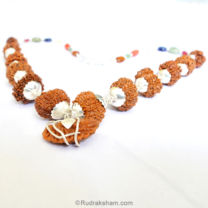 1-13 Mukhi Collector Rudraksha Kantha Mala | 9 Navratna Gemstone Beads | Energised and Original Rudraksha Beads Configuration - 5
