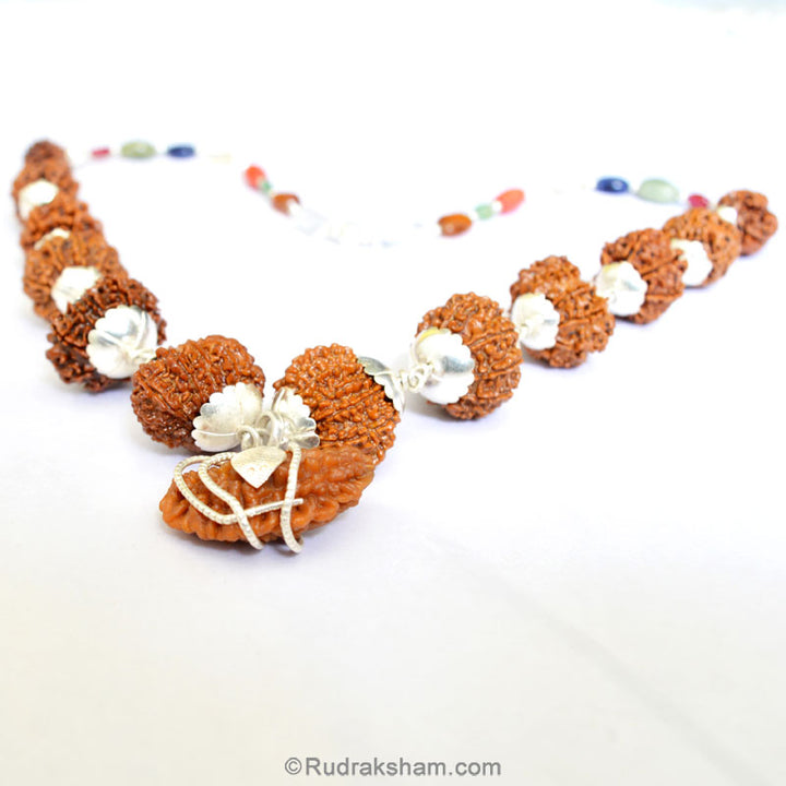 1-13 Mukhi Collector Rudraksha Kantha Mala | 9 Navratna Gemstone Beads | Energised and Original Rudraksha Beads Configuration - 5