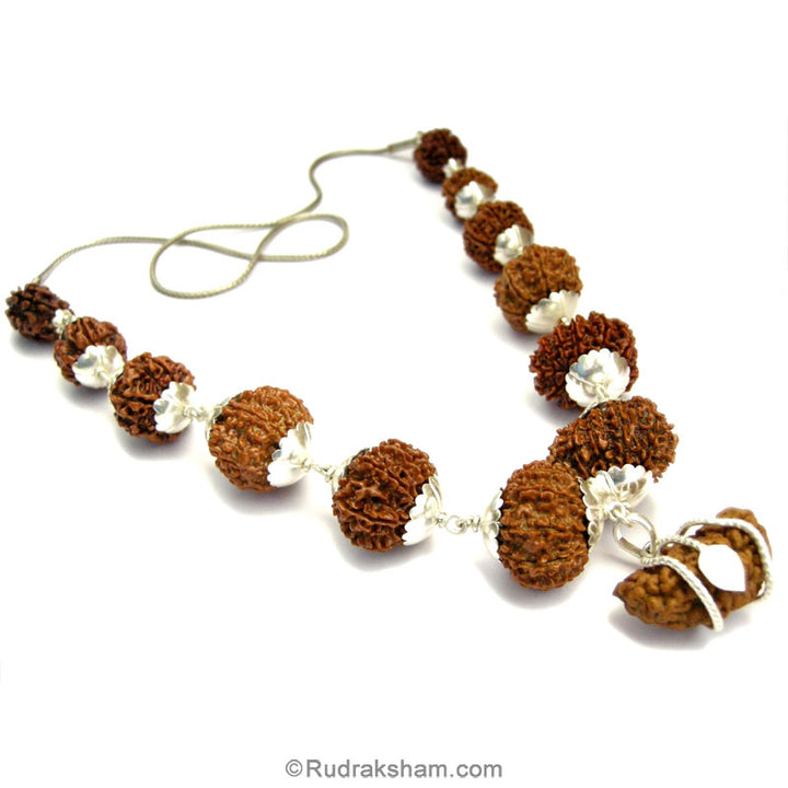 1-13 Mukhi Fine Rudraksha Beads Kantha Mala | Buy Online Energised and Original Siddh Rudraksha Beads Configuration - 4