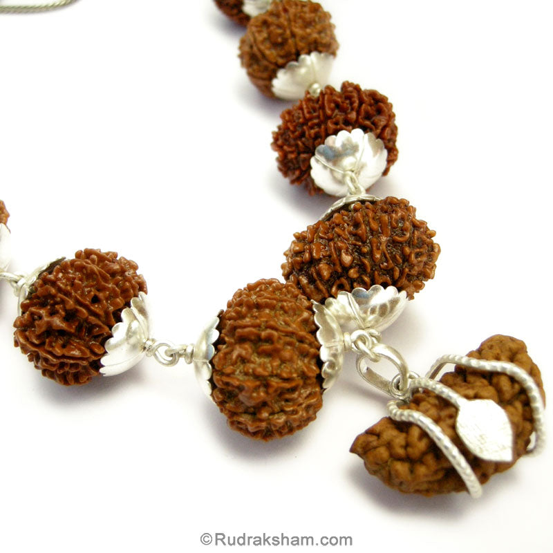 1-13 Mukhi Fine Rudraksha Beads Kantha Mala | Buy Online Energised and Original Siddh Rudraksha Beads Configuration - 4