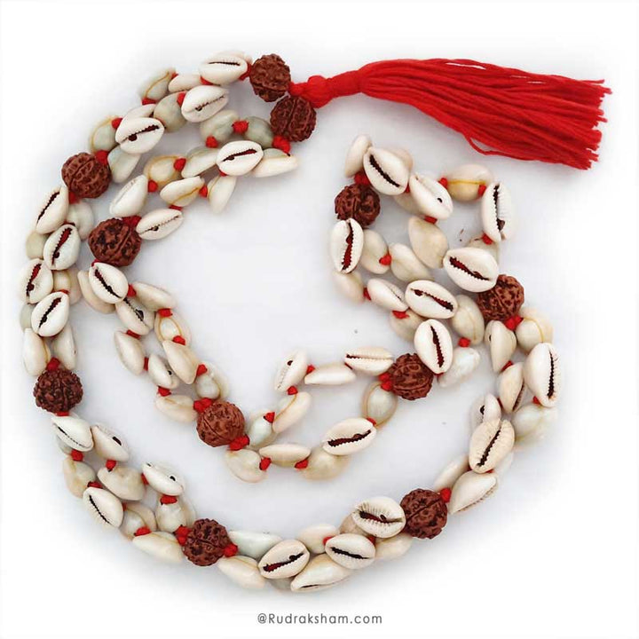 Rudraksha - Kauri Mala | Cowry Necklace | Cowrie Shell Beads Rudraksha Rosary | Rudraksha Kaudi Necklace