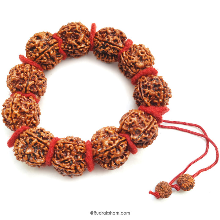 ( 25-27mm ) 5 Mukhi Giant Rudraksha Bead Mala Bracelet | High Quality Giant Collector Grade Five Faced Rudraksha Beads | 11 Beads Of 5 Mukhi