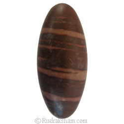 Narmadeshwar Lingam