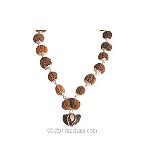 27+1 Kantha Mala Fine Rudraksha Beads | Energised Meditation mala from 1 Mukhi to 14 Mukhi Ganesh Gauri Shankar Bead | Configuration - 1