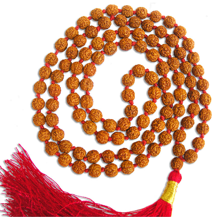 Pathri Rudraksh 7mm Pathri-Chikna Rudraksha Rosary | 5 Mukhi Rudraksha Smooth Mala ...
