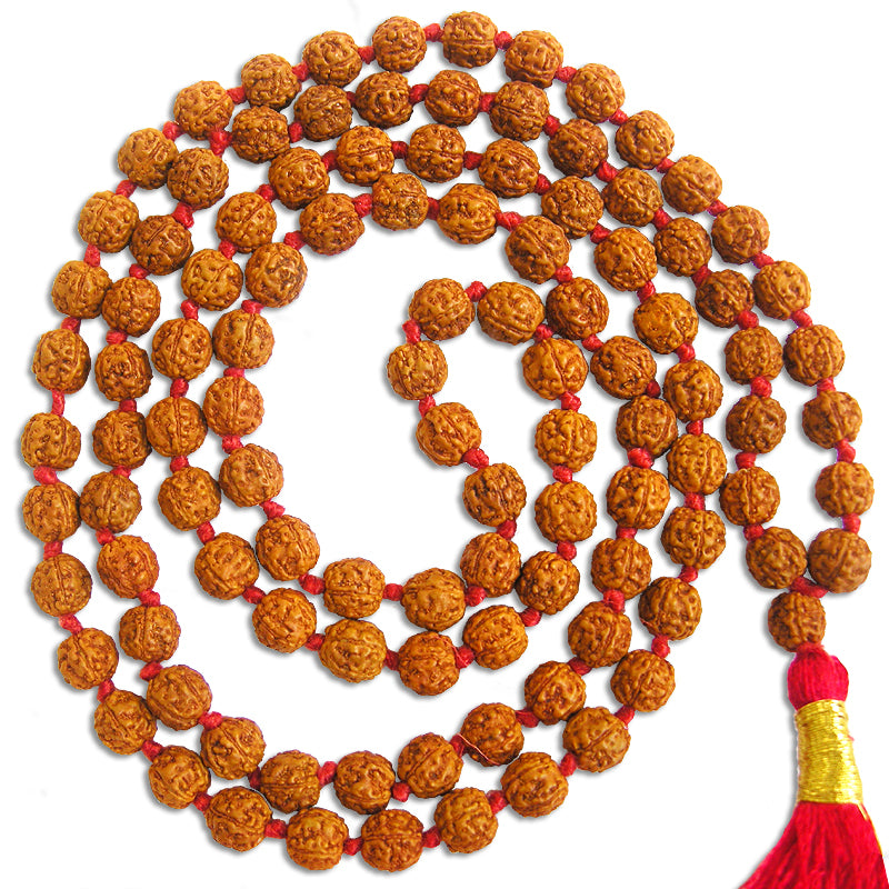 Pathri Rudraksh Chikna Mala – Rudraksham