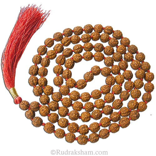  7.5mm Pathri Chikna Beads Rudraksha Japa Mala Rosary | Rudraksha Pathri Mala | Super Fine Quality Indonesian Beads Mala