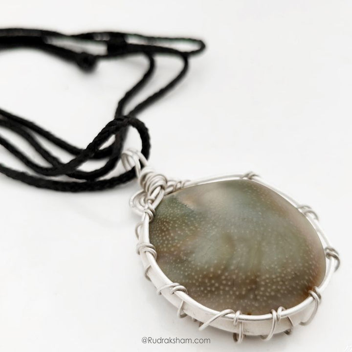 Gomati Chakra Silver Pendant, Gomti Chakra Pendant to bring wealth, good luck, and prosperity | Shiva Eye shell FOR EVIL EYE PROTECTION