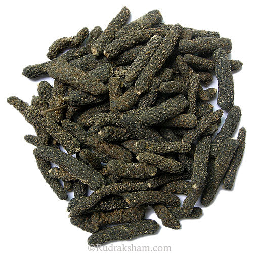 pippali plant seeds Pippali