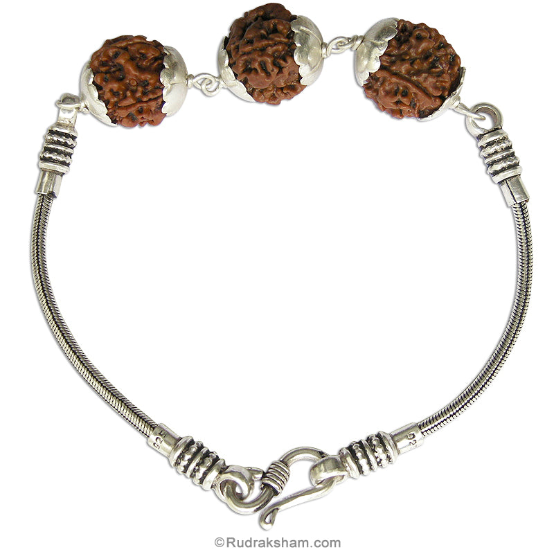Power Bracelet of 4 Mukhi | 4 Mukhi Rudraksha mala Bracelet in Silver Chain | Four / Char Mukhi Nepal Rudraksha Beads Bracelet with Silver Caps | Energised 4 Mukhi Rudraksha