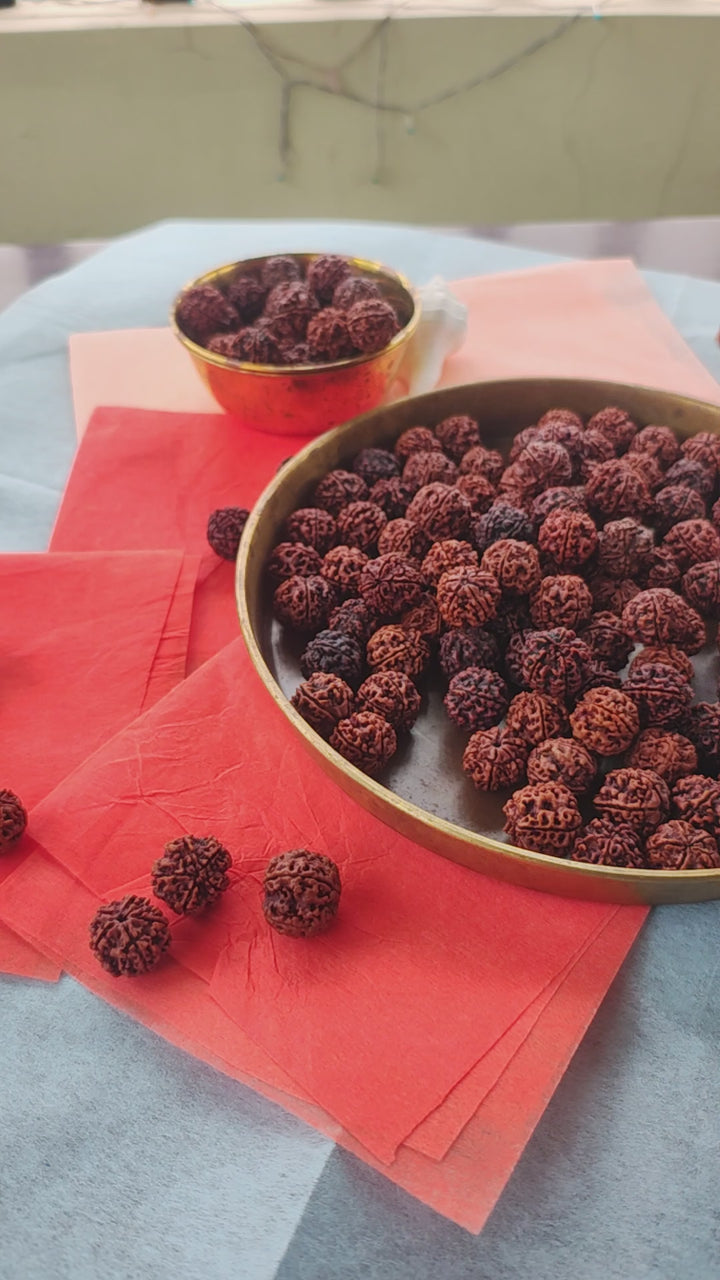 5 Mukhi Rudraksha Shravan Donation Pack – 100 Beads for Temples & Saints