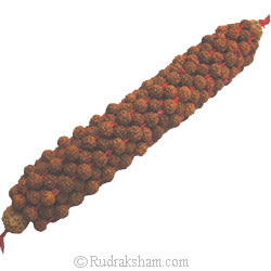 Rudraksha Roller | Massage Roller with Rudraksha Beads