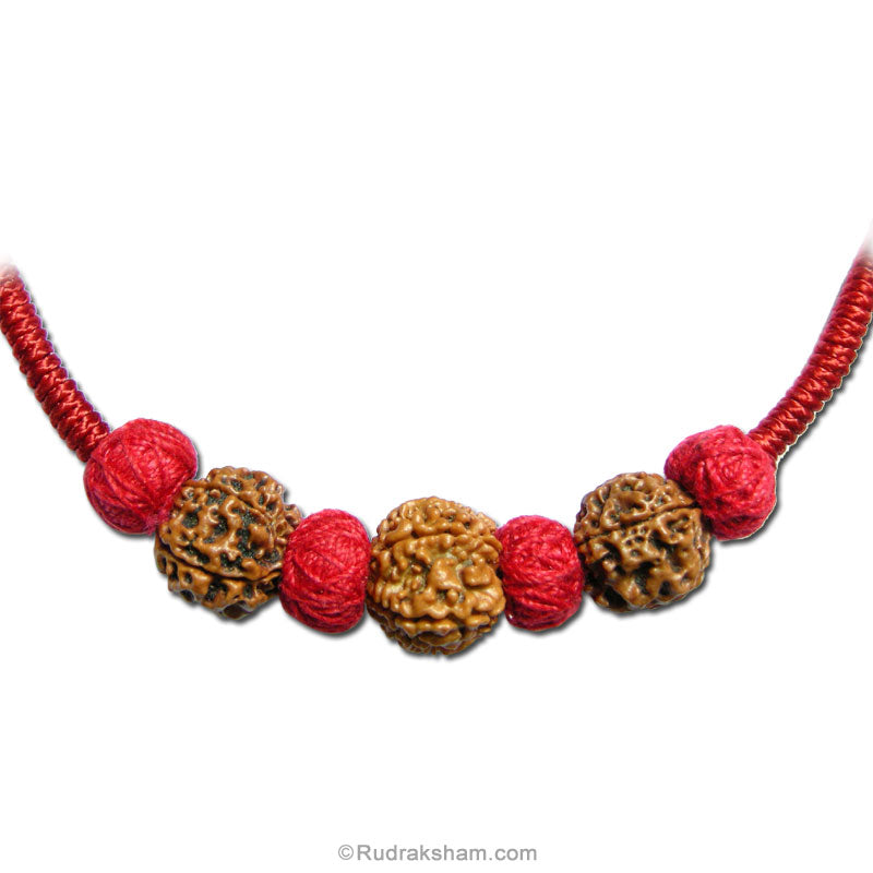 Rudraksha Education Power Pendant in Thread | Combination of 4 Mukhi Rudraksha and 6 Mukhi Rudraksha | Ideal For School Kids