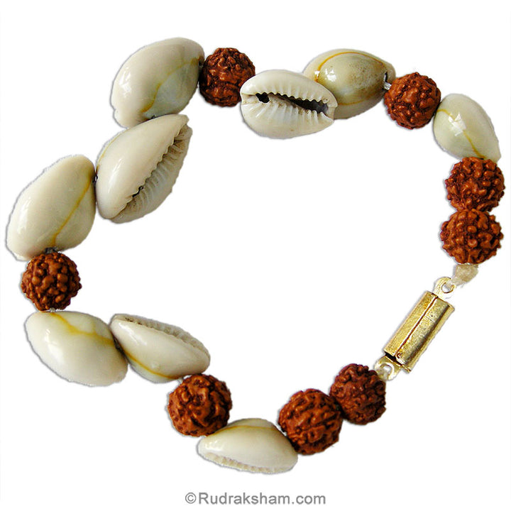 Rudraksha Kauri Bracelet, Kaudi Beads Bracelet with Rudraksha, Cowry Shell wrist Mala and Rudraksha Beads 9 mm, Cowrie Sea Shell Bracelet