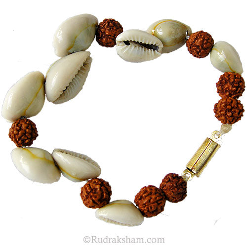  Rudraksha-Kauri Bracelet