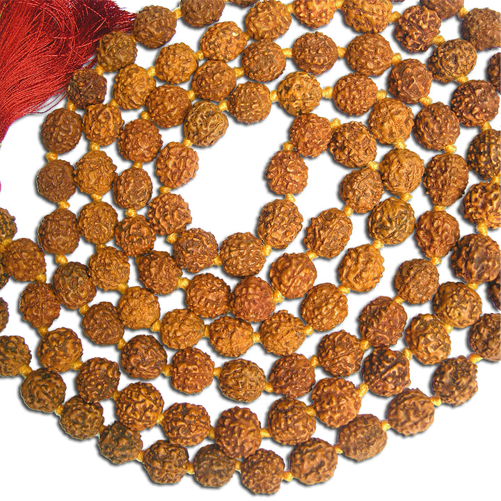 10mm Rudraksha Japa Mala Rosary | 108 Beads Rudraksha Mala Benefits