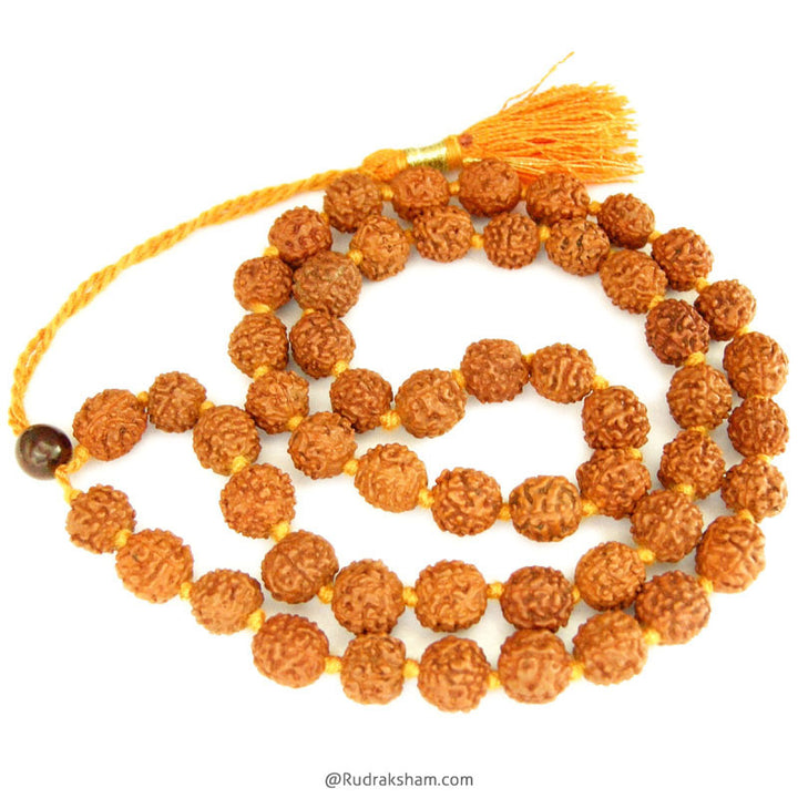 Wholesale Pack of 5 Mukhi Rudraksha Mala 10 mm
