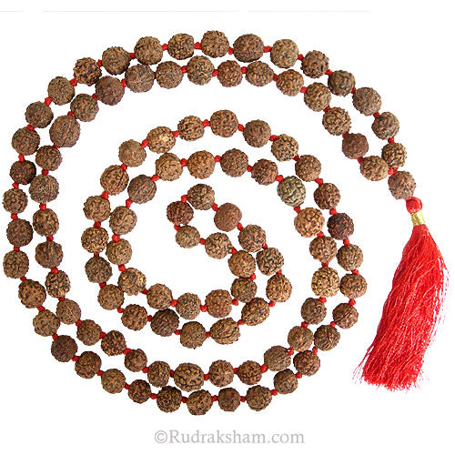 12mm Rudraksha (108 Beads) Mala | Rudraksha Japa Mala 