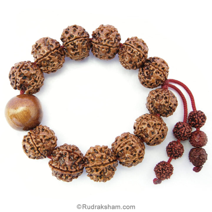 5 Mukhi Rudraksha and White Sandalwood Mala Bracelet | Rudraksha Beads Chandan Thread Bracelet