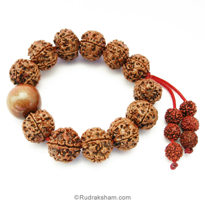 5 Mukhi Rudraksha and White Sandalwood Mala Bracelet | Rudraksha Beads Chandan Thread Bracelet