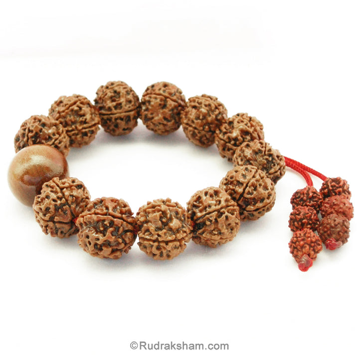 5 Mukhi Rudraksha and White Sandalwood Mala Bracelet | Rudraksha Beads Chandan Thread Bracelet