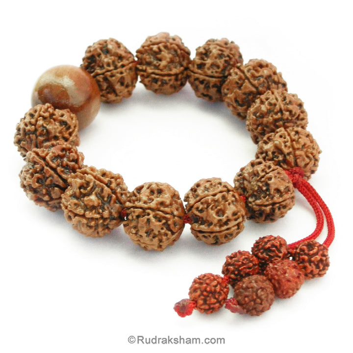 5 Mukhi Rudraksha and White Sandalwood Mala Bracelet | Rudraksha Beads Chandan Thread Bracelet