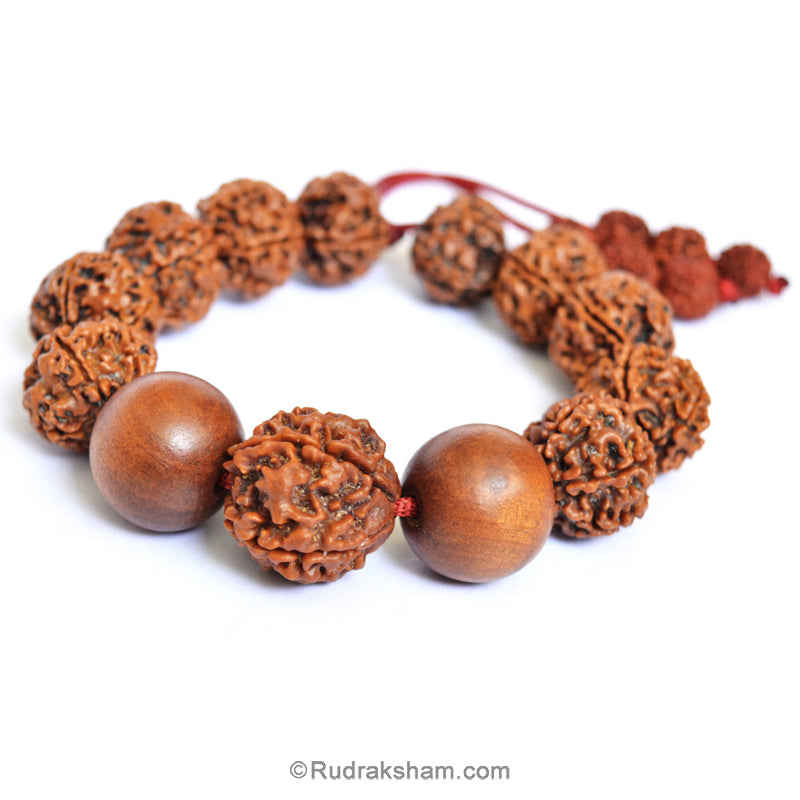 Rudraksha and White Sandalwood Beads Mala Bracelet | Adjustable Rudraksha Chandan Thread Bracelet