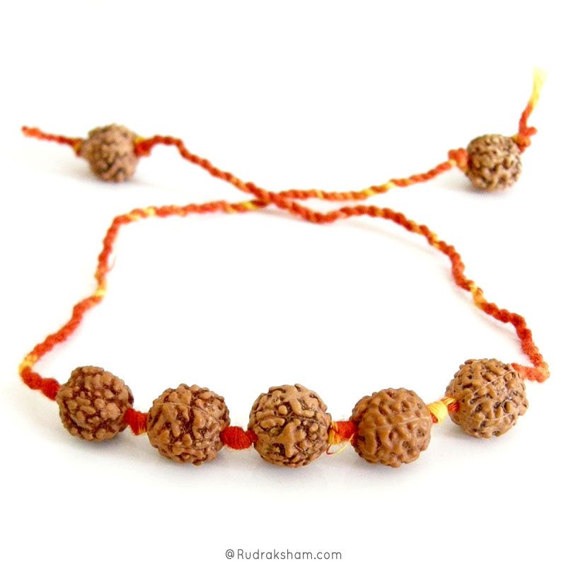 Rudraksha Moli Band - Rudraksha Beads with Mauli Thread ( Kalawa ) | Sacred Hindu Pooja Thread with Rudraksha Beads to make a Wrist Bracelet