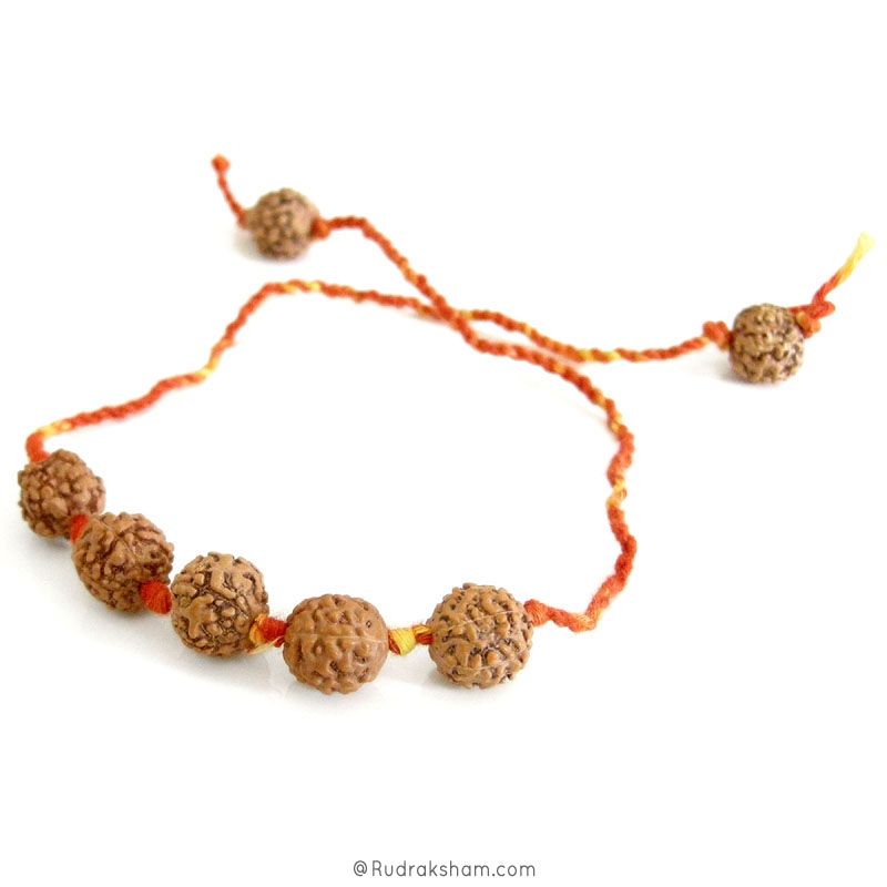 Rudraksha Moli Band - Rudraksha Beads with Mauli Thread ( Kalawa ) | Sacred Hindu Pooja Thread with Rudraksha Beads to make a Wrist Bracelet