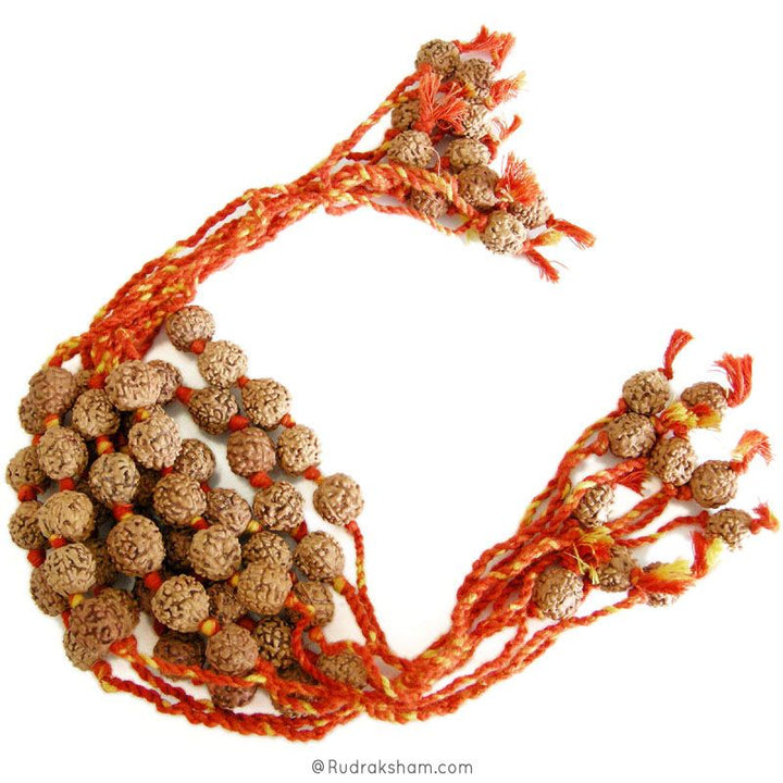 Rudraksha Moli Band - Rudraksha Beads with Mauli Thread ( Kalawa ) | Sacred Hindu Pooja Thread with Rudraksha Beads to make a Wrist Bracelet