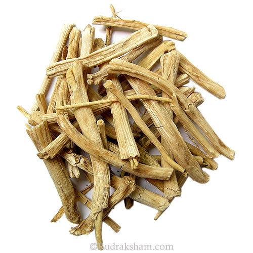  Shatavari - Asparagus Herb