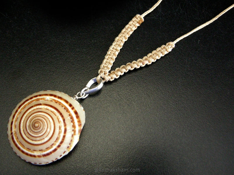  Seashell Jewelry