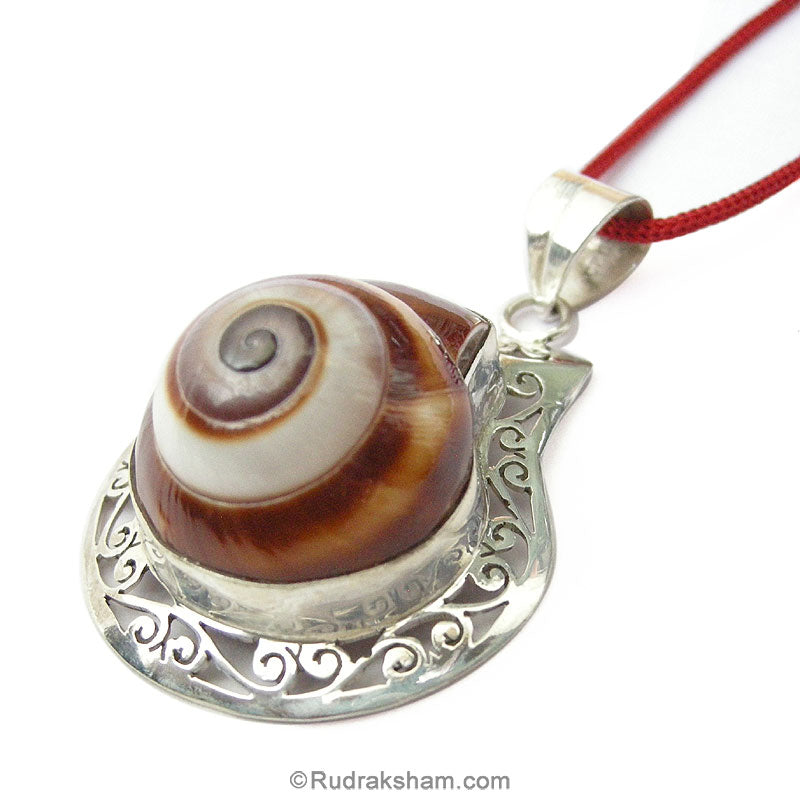  Unique Seashell Jewelry