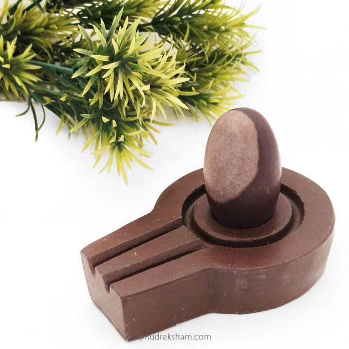 Narmadeshwar Shivling with Stone Jalhari, Narmada Shivlingam in Stone Jaladhari