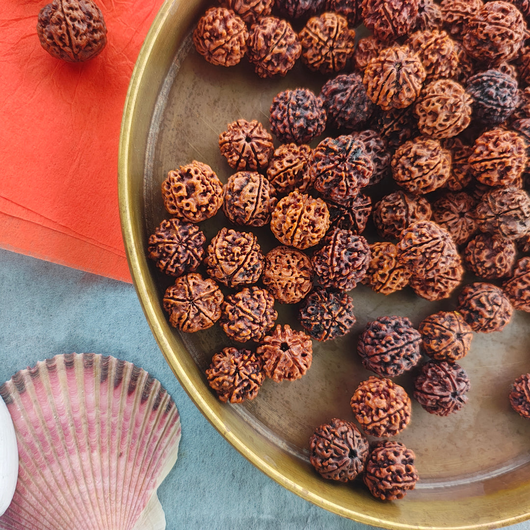 5 Mukhi Rudraksha Shravan Donation Pack – 100 Beads for Temples & Saints